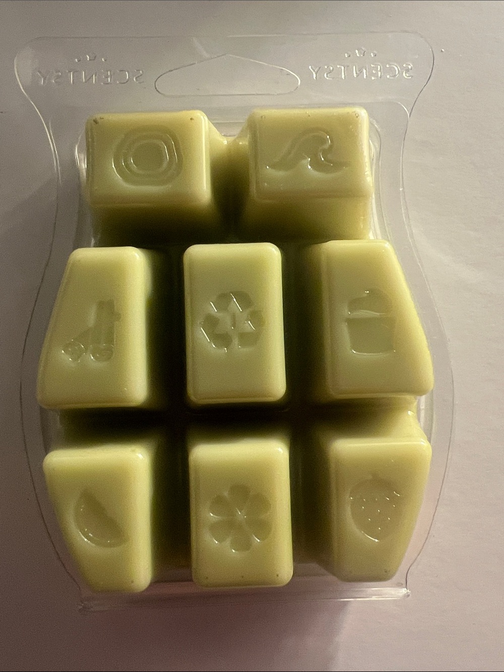 Scentsy Amazon Rain Wax Bar - Picture 3 of 3